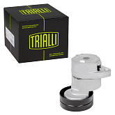 Ролик привод. ремня для Chevrolet Lacetti 1.8i (с натяж. мех.) (CM 0503)