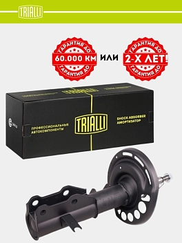 Амортизатор для а/м Chevrolet Malibu 2 (15-) (стойка) перед. прав. (AG 05353)
