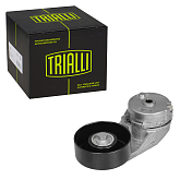 Ролик привод. ремня для Chevrolet Captiva/Malibu 1 2.4i (с натяж. мех.) (CM 0506)