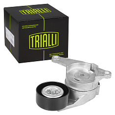 Ролик привод. ремня для Chevrolet Captiva 3.0i/3.2i (с натяж. мех) (CM 5446)